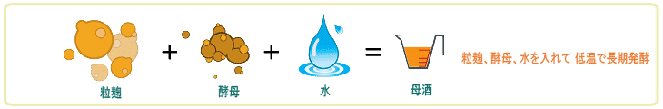 粒麹, 酵母, 水, =母酒, 粒麹, 酵母, 水を入れて低温で長期発酵
